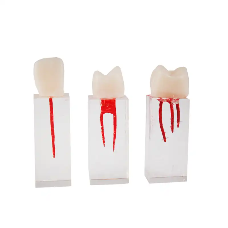 Juego de Dientes Endo para Práctica Bader